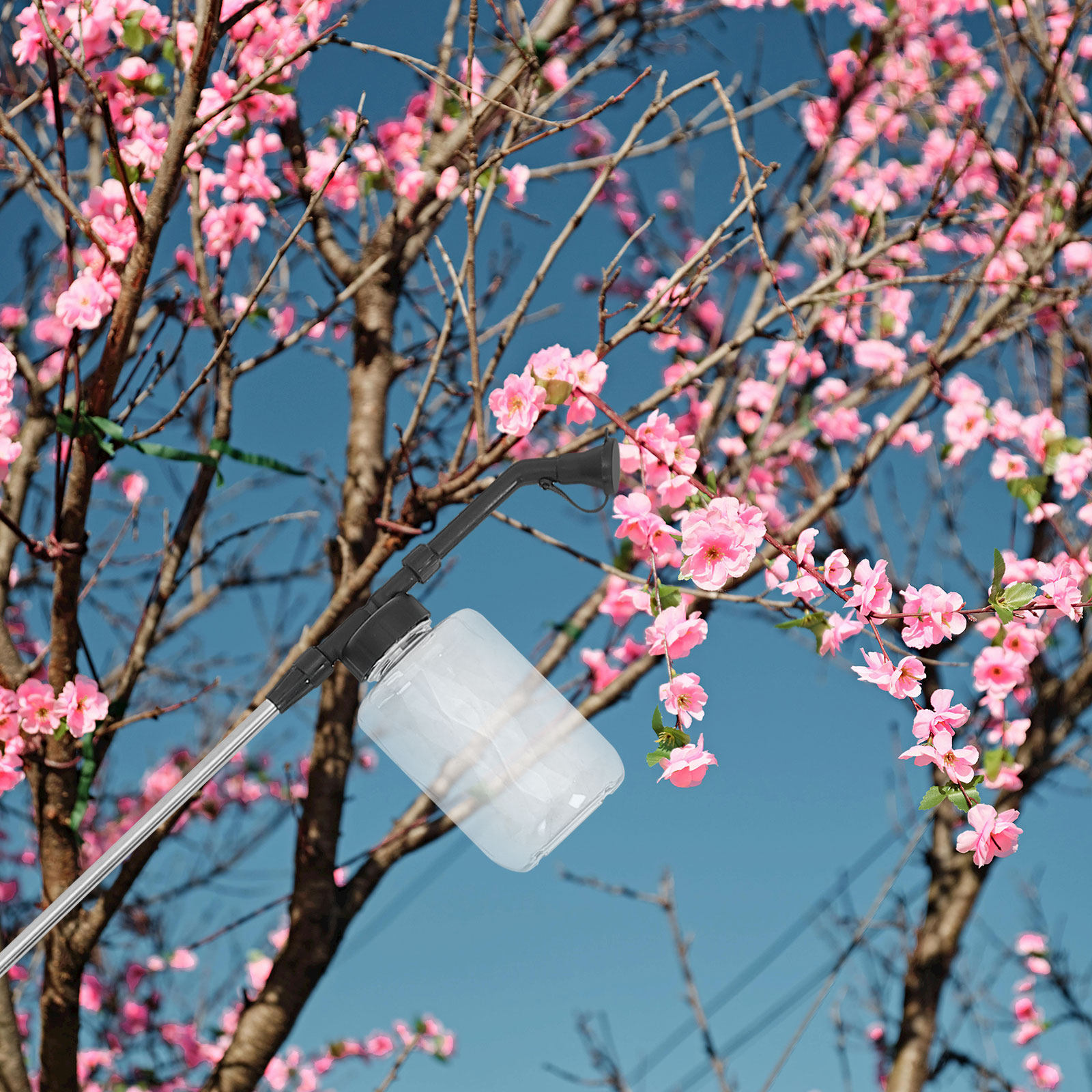 Manual Pollination Stick Handh - Flower Supplies review and price